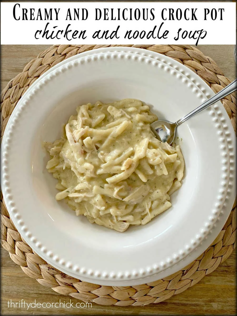 creamy chicken and noodle soup in bowl