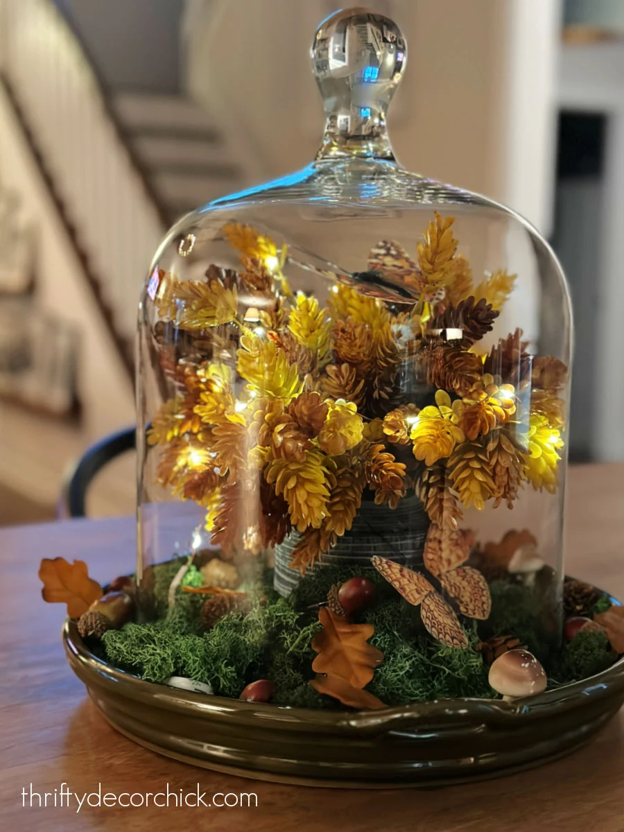 fall decor display under glass