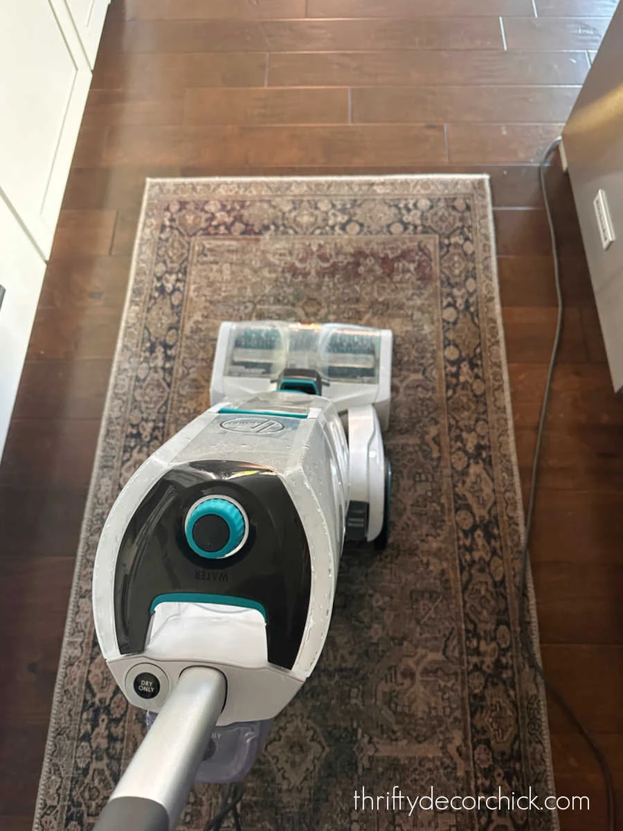 cleaning low pile rug